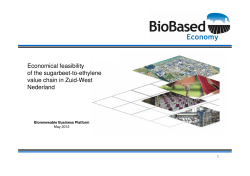 Economical feasibility of the sugarbeet-to