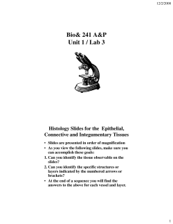 Bio 241 Unit 1 Lab 3 PP printable