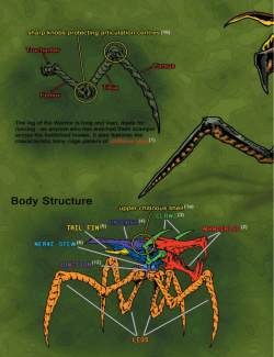 Arachnid Empire.indd - Mongoose Publishing