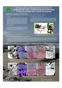 OPTICAL AND ELECTRON MICROSCOPE STUDY