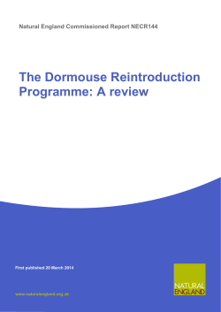 The Dormouse Reintroduction Programme
