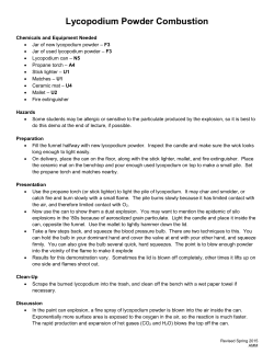 Lycopodium Powder Combustion