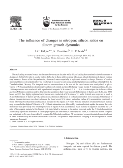 The influence of changes in nitrogen: silicon ratios on diatom growth