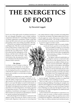 the energetics of food - The People`s Acupuncture Clinic Inc.