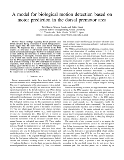A model for biological motion detection based on