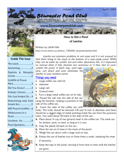 April 2014 - Blue Water Pond Club