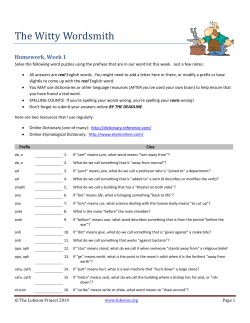 The Witty Wordsmith
