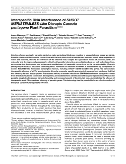 Interspecific RNA Interference of SHOOT