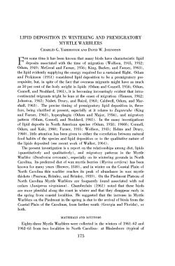 lipid deposition in wintering and premigratory myrtle warblers