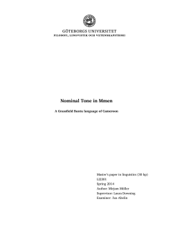 Nominal Tone in Mmen