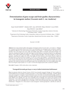Determination of gene escape and fruit quality