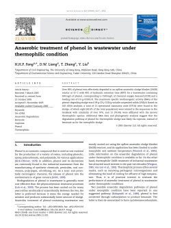 Anaerobic treatment of phenol in wastewater under