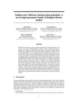 Sodium entry efficiency during action potentials