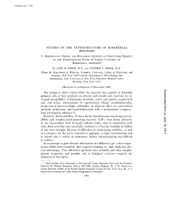 STUDIES ON THE ULTRASTRUCTURE OF BORDETELLA