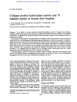Collagen proline hydroxylase activity and 35S sulphate uptake