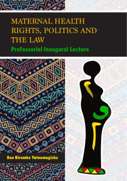 maternal health rights, politics and the law