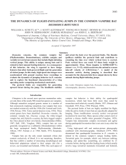 THE DYNAMICS OF FLIGHT-INITIATING JUMPS IN THE COMMON