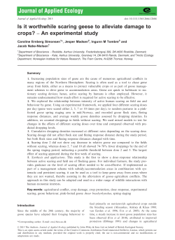 Is it worthwhile scaring geese to alleviate damage