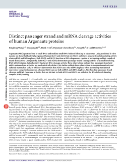 Distinct passenger strand and mRNA cleavage activities of human