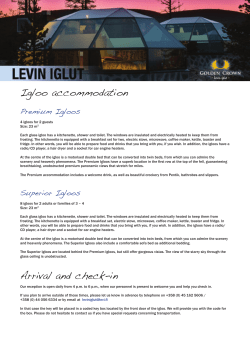 Levin Iglut