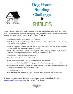 Dog House Building Challenge