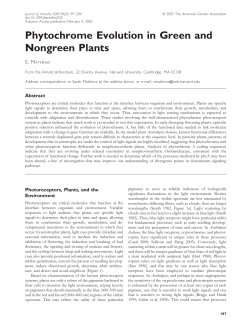 Phytochrome Evolution in Green and Nongreen Plants