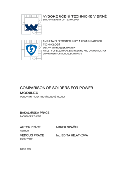 Šablona závěrečné práce