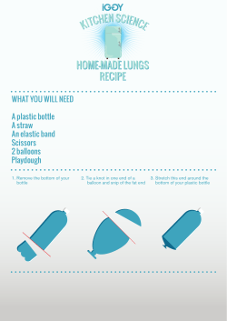 kitchen science home-made lungs recipe home-made