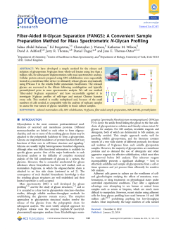 Filter-Aided N-Glycan Separation (FANGS): A Convenient Sample