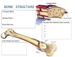 The jobs the skeleton does include&hellip;