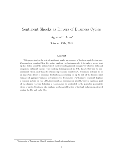 Sentiment Shocks as Drivers of Business Cycles (684 KB )