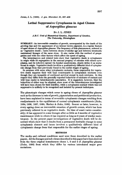 of Aspergillus glaucus