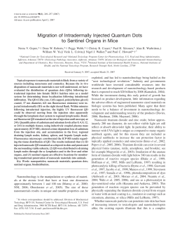 Migration of Intradermally Injected Quantum Dots to Sentinel Organs