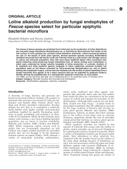 Loline alkaloid production by fungal endophytes of Fescue species