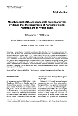 Australia are of hybrid origin