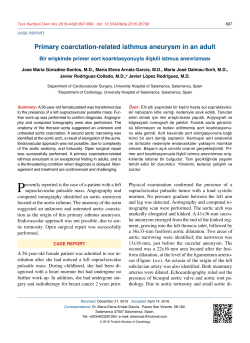Primary coarctation-related isthmus aneurysm in an