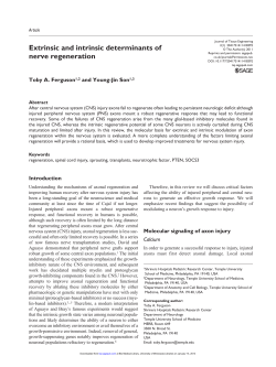 Extrinsic and intrinsic determinants of nerve regeneration