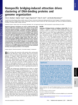 Nonspecific bridging-induced attraction drives clustering of DNA