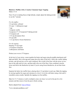 Blueberry Muffins with a Crunchy Cinnamon Sugar