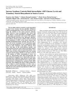 Sucrose Synthase Controls Both Intracellular ADP Glucose Levels
