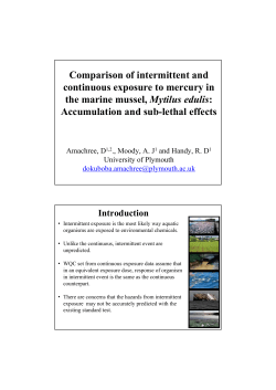 Comparison of intermittent and continuous exposure to mercury in