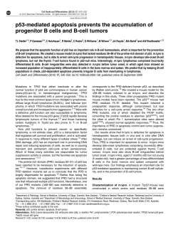 p53-mediated apoptosis prevents the accumulation of