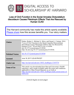Loss of Cln3 Function in the Social Amoeba Dictyostelium