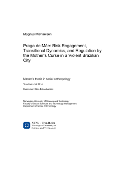 MagnusMichaelsen. 83% pdf