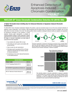 Enhanced Detection of Apoptosis-Induced Chromatin Condensation