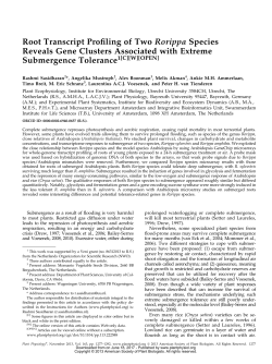 Root Transcript Proiling of Two Rorippa Species