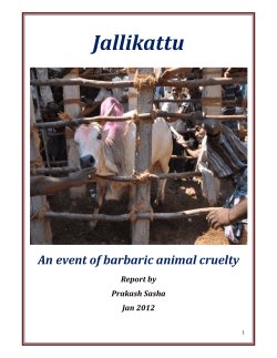 An Event of Barbaric Animal Cruelty