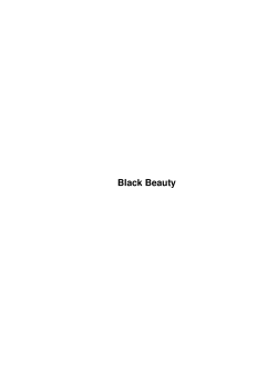 Black Beauty