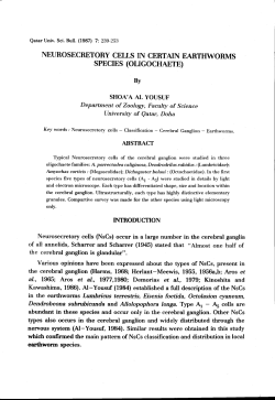 07-87-7-0018-fulltext
