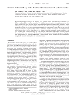 Interaction of Water with Cap-Ended Defective and Nondefective